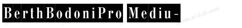 BerthBodoniPro Mediu字体转换